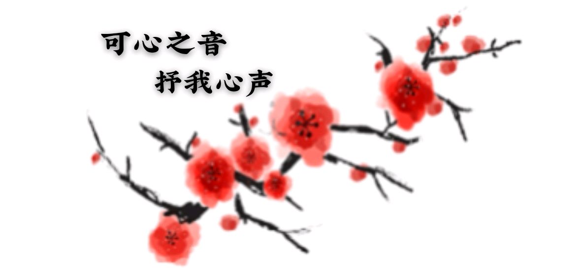 【祖孙合诵】《英雄》作者/阿紫 合诵：荣华 洪嘉泽（365）（图13）