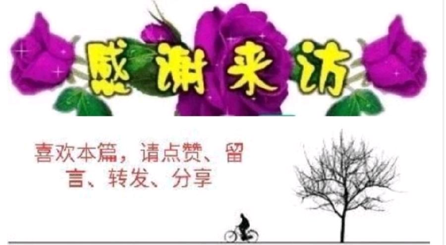 【祖孙合诵】《英雄》作者/阿紫 合诵：荣华 洪嘉泽（365）（图14）