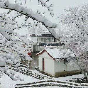 联机全球发布张维清作品欣赏（图6）