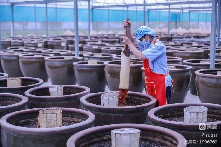 刀郎归来，《罗刹海市》讽刺的是谁？（图8）