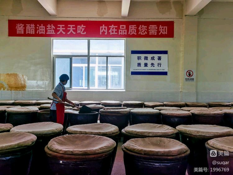 刀郎归来，《罗刹海市》讽刺的是谁？（图9）