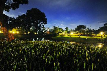 《夏夜随笔》作者:刘寒霖【主播:梦里水乡】【桃源国际诗歌】用声音传递温暖以诵读致敬人生♬（图7）