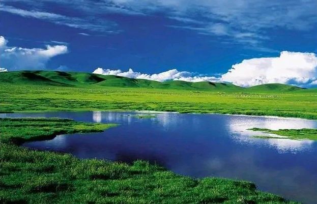 ⭕卜算子-天边草原之夏～词‖轩源（图15）