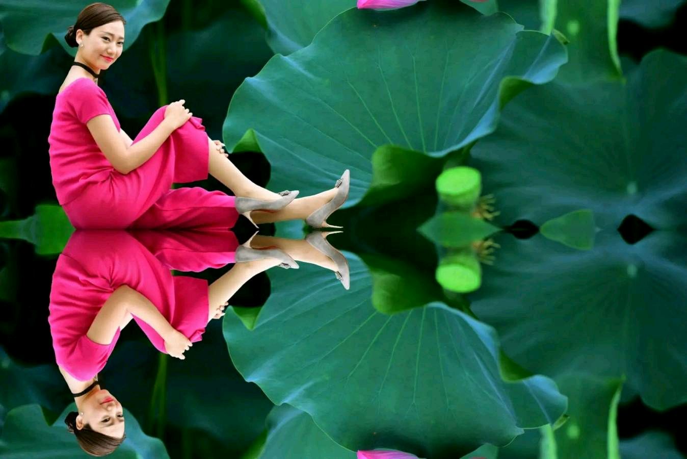 ⭕七律-赏荷花(组合)诗║白小文(图15)