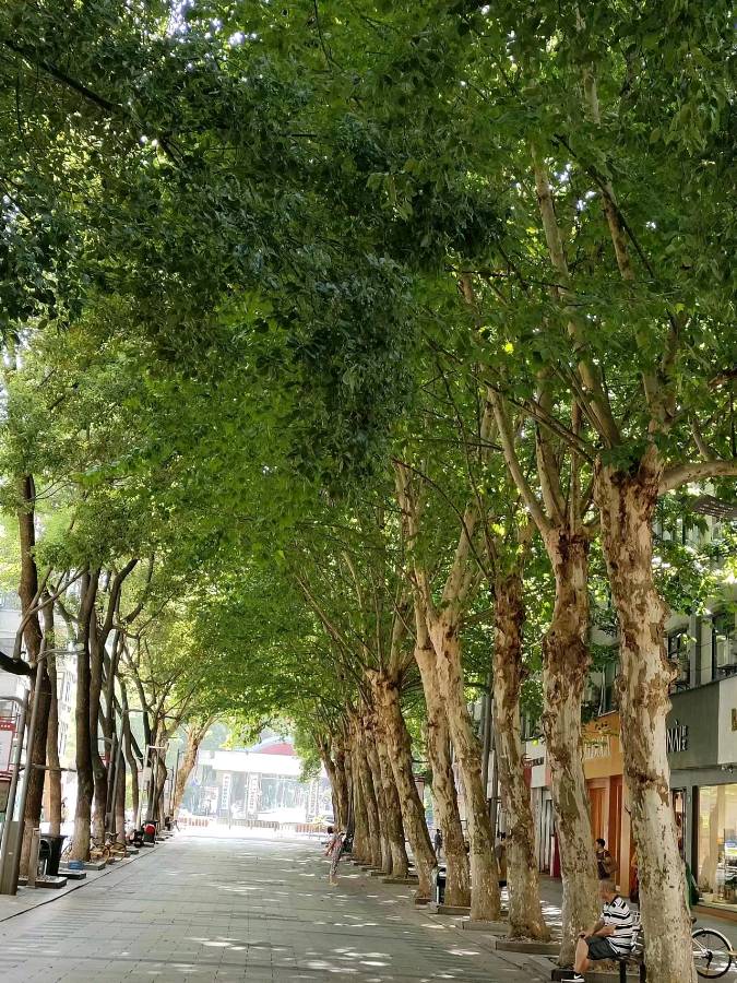 联机全球发布王黎明作品欣赏（图3）