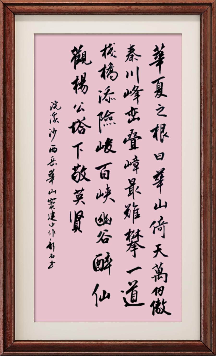 野草诗社十二(江苏)研修院024期微刊《惊险天下第一山一华山》(图79)