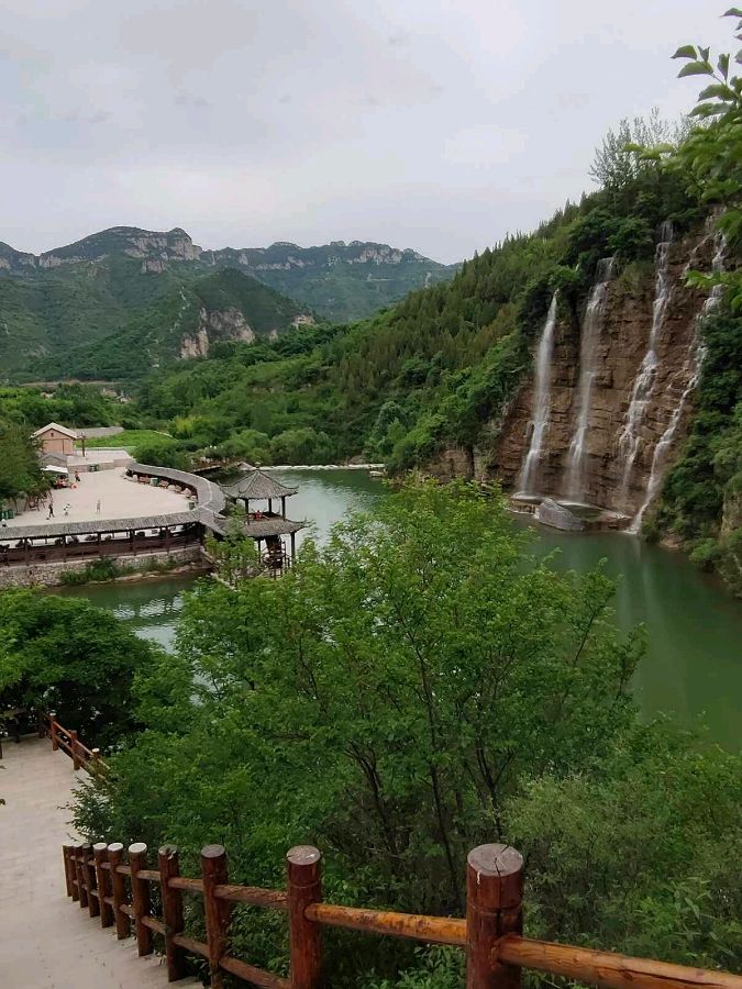 知了的移民申请(图6)