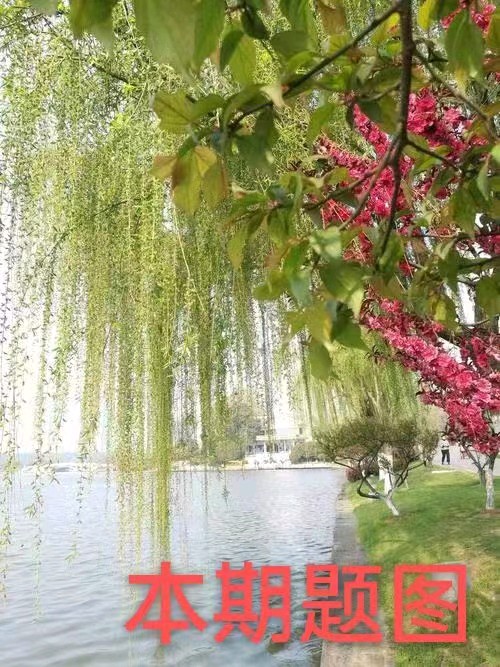 中华诗艺黑龙江分社微刊第162期(图58)