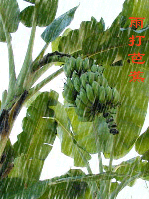 《文明大同》(一百一十九)作者/三木秉风(周凤森)(图2)