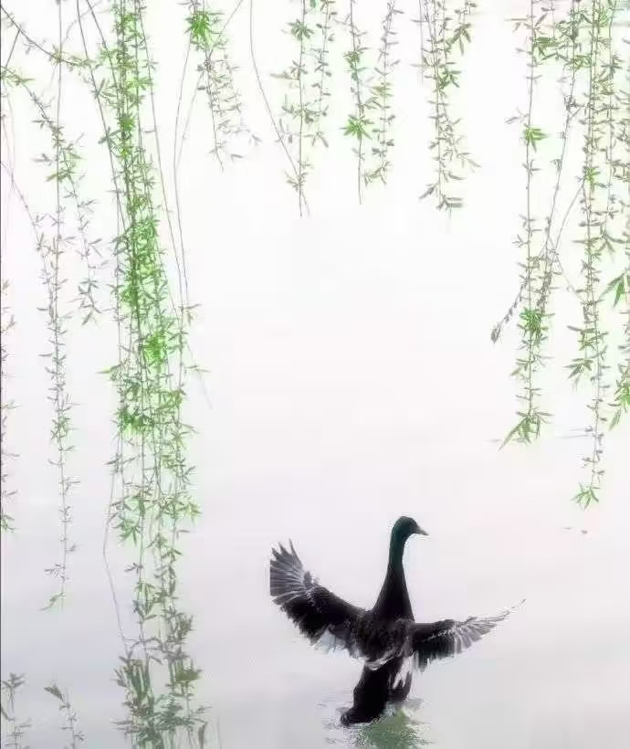 《再评桑恒昌现代诗》江南诗絮文化中心(图7)