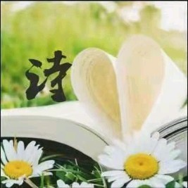 《寻一方清凉，步入你的诚》作者:昨夜天【主播:雪如玉】【桃源国际诗歌文化传媒】桃源♬ 馨声（图15）