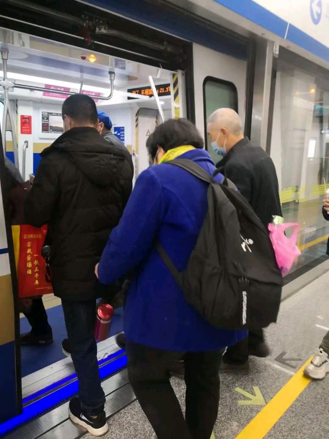 中华诗艺黑龙江分社微刊第160期(图37)