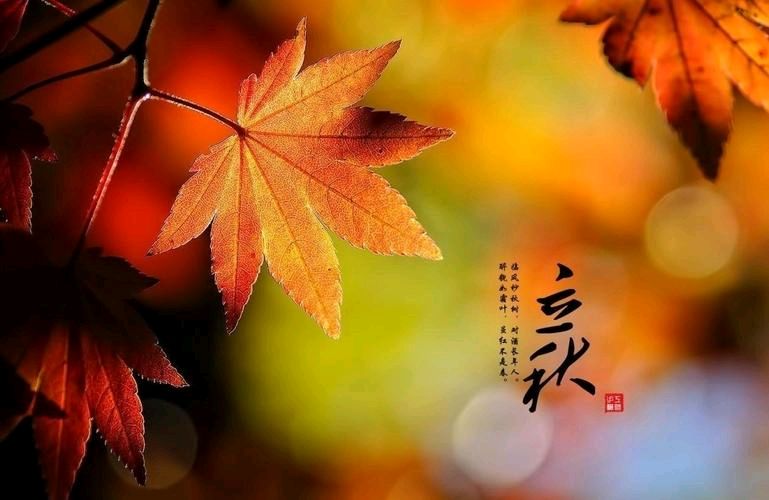 自由诗：中华诗经阁总社七位诗人合集 2026第29期（图5）