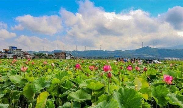 联机全球发布吴平坦作品欣赏！（图25）