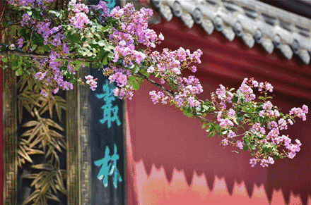 张昕伏夏词八首（图6）
