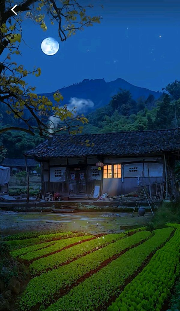 《七月没有流火》作者:吴丽跃‖主播:崔东梅【中国现代诗歌文化传媒】徜徉诗的海洋，聆听天籁之声♬（图6）