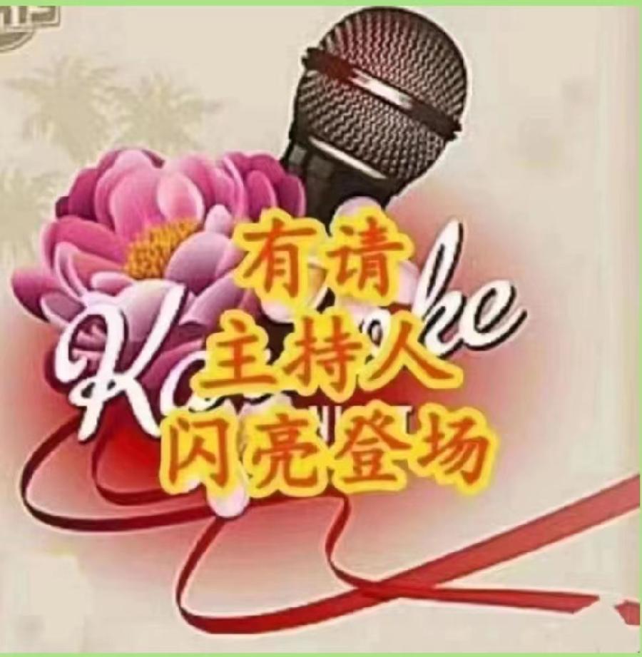 雁子老师生日联欢晚会//文学艺术网十大联盟主播团（图5）
