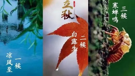 牛丽君朗诵【二十四节气系列小知识*立秋】文字整理/牛丽君（图4）