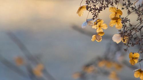 诗歌〔光阴深处 岁月静好〕 作者/沐荣（图4）