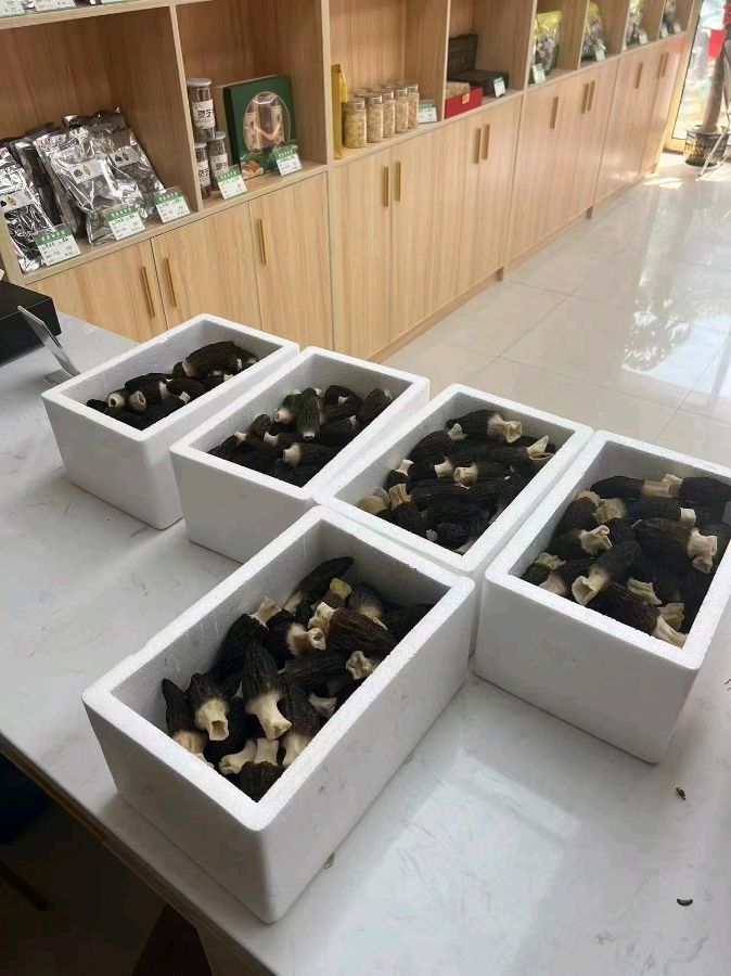 江西农业大学专家考察帮助企业发展实打实（图2）