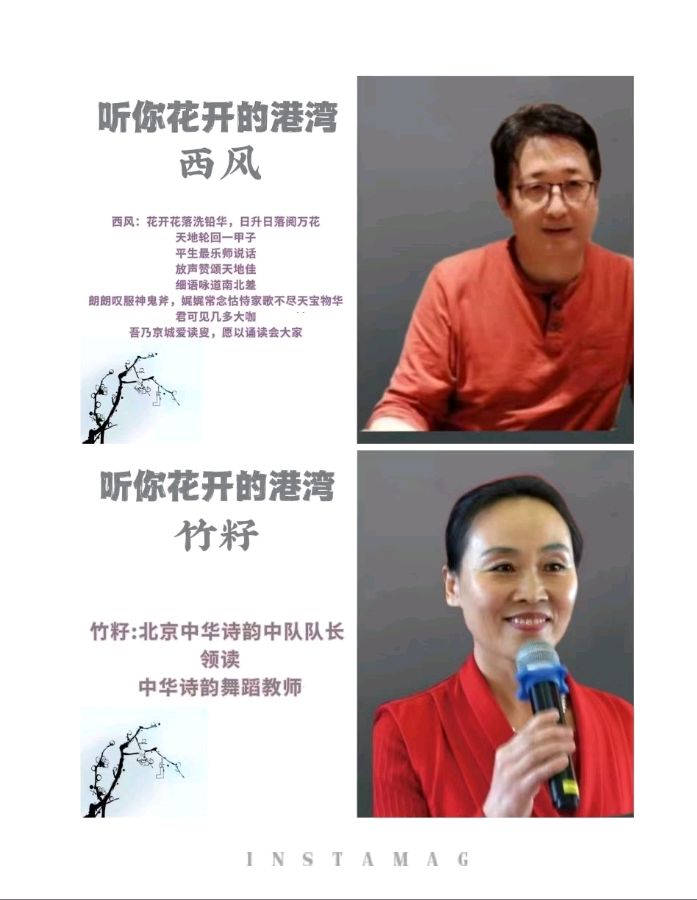 听你花开 ‖【长安印象之系列】作者/刘伙力 朗诵/听你花开的港湾主播（图4）