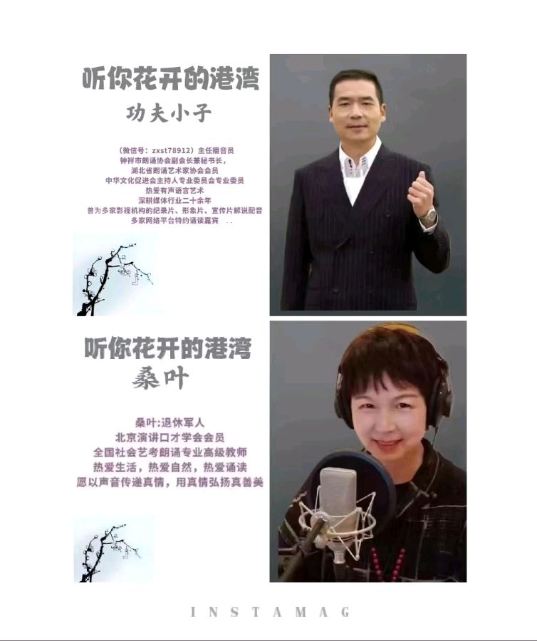 听你花开 ‖【长安印象之系列】作者/刘伙力 朗诵/听你花开的港湾主播（图6）