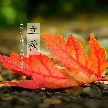 【荣耀中国】七律*立秋感怀作者/王清义（辽宁沈阳）（图2）