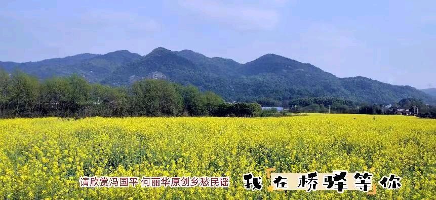请欣赏冯国平 何丽华原创乡愁民谣《我在桥驿等你》歌曲（图2）