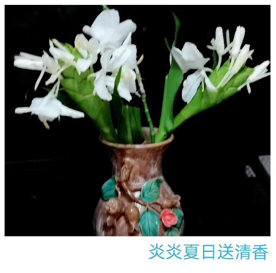 尼言诗选