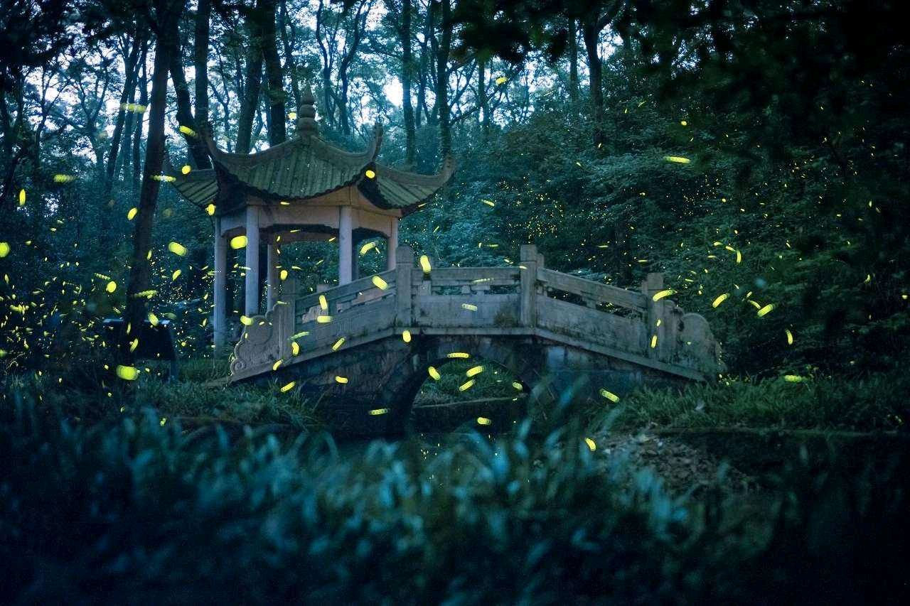 李士光朗诵【夏夜深深】作者/刘志民（图4）
