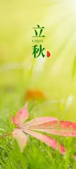 立秋‖巴彦诗协诗词卷【572】(图2)