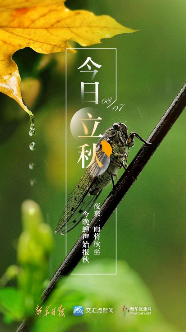 《九江文学社：北京头条》《立秋节气》专刊【总第1758期】（图2）
