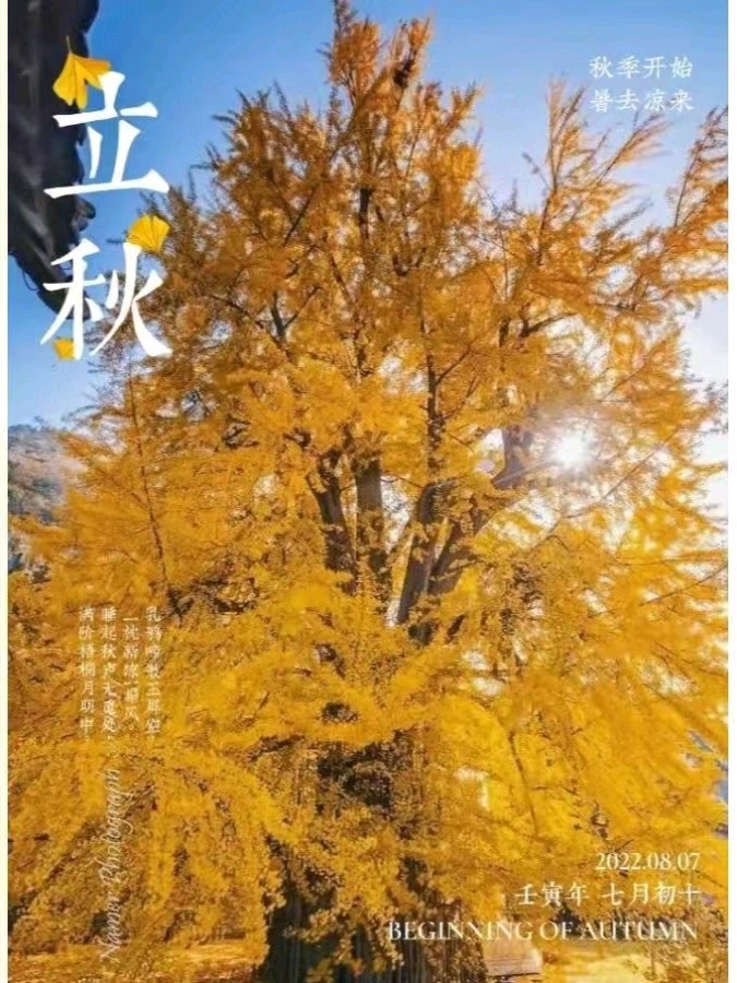 《九江文学社：北京头条》《立秋节气》专刊【总第1758期】（图5）