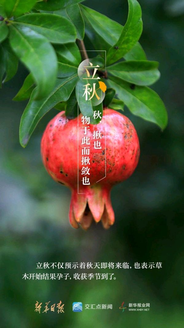 《九江文学社：北京头条》《立秋节气》专刊【总第1758期】（图14）