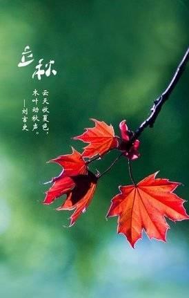《九江文学社：北京头条》《立秋节气》专刊【总第1758期】（图41）