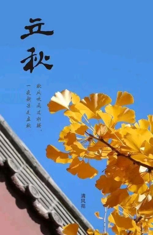 【荣耀中国】立秋文/秋之韵（图2）