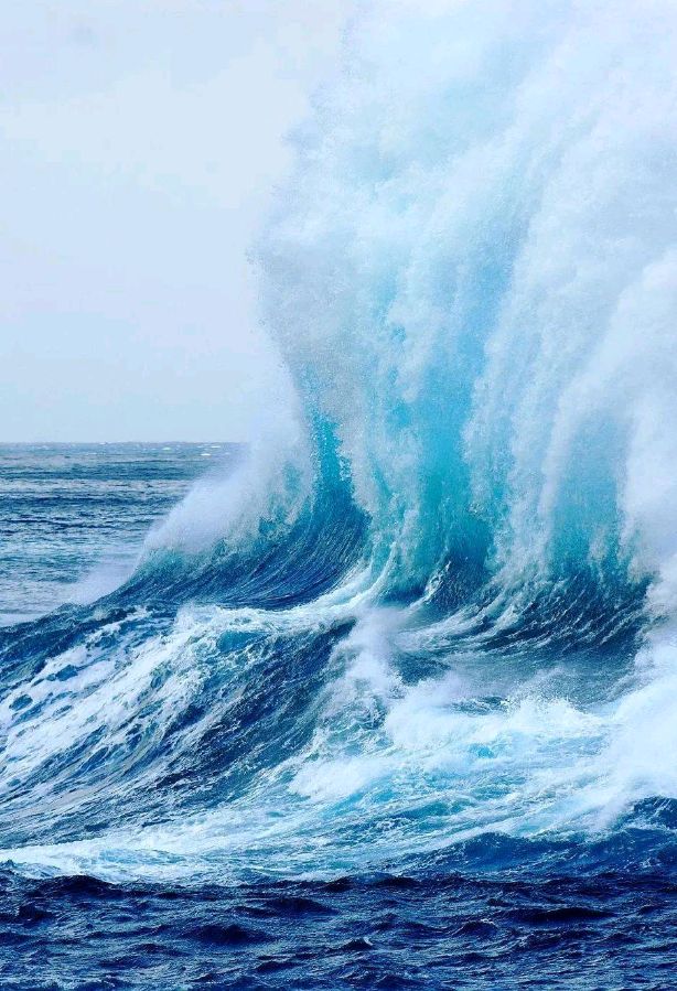 家明朗诵【前浪与后浪】作者/刘志民（图5）
