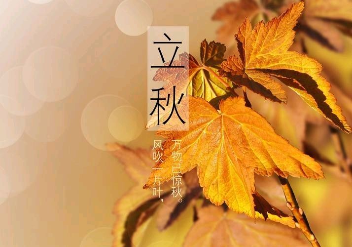弘华朗诵【悟秋】作者/六月荷（图6）