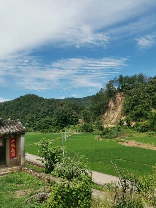 立秋文/李忠共七律二首（图6）