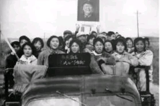 【名家佳作】栾殿国诗歌《知青赞歌》合诵/张丽等八人|| 编辑/青青【花雨馨声】第431期（图3）