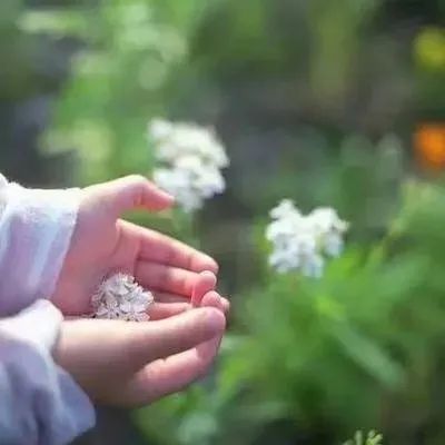 冰心文化传媒隆重推出 诗人：胡向前〔湖北〕诗词专辑 主编：冰心（图29）