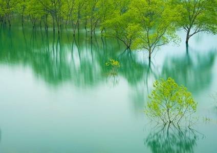 冰心文化传媒隆重推出 诗人：胡向前〔湖北〕诗词专辑 主编：冰心（图5）