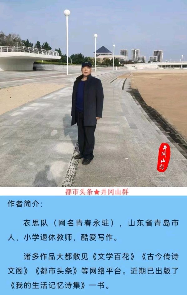 水调歌头-生日感怀～词║衣思队（图15）