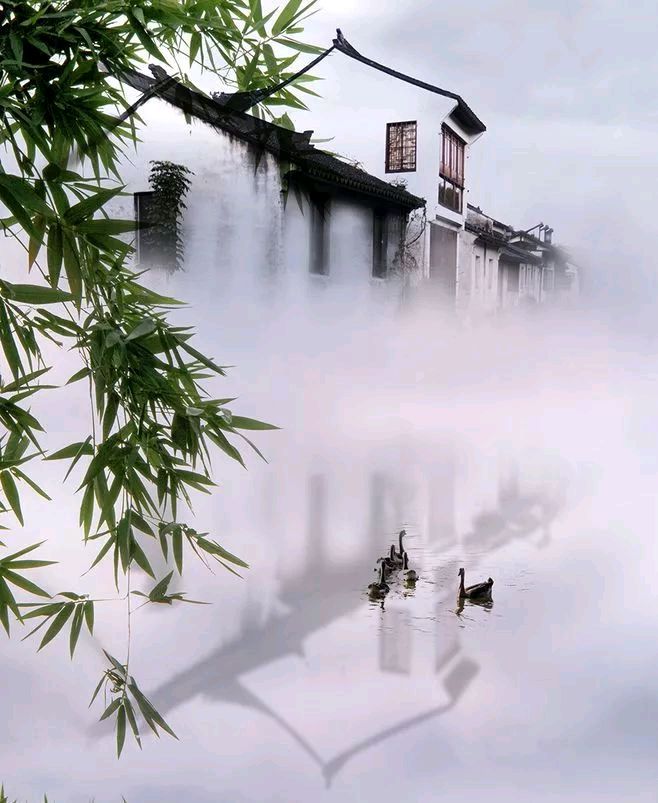 《九江文学社：北京头条》优秀诗人杨学是先生诗歌《你是我生命中的贵人》【总第1761期】（图5）