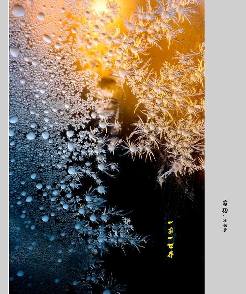 《霜花》作者:李夫晨【主播:流苏】【中国现代诗歌文化传媒】徜徉诗的海洋，聆听天籁之声♬（图5）