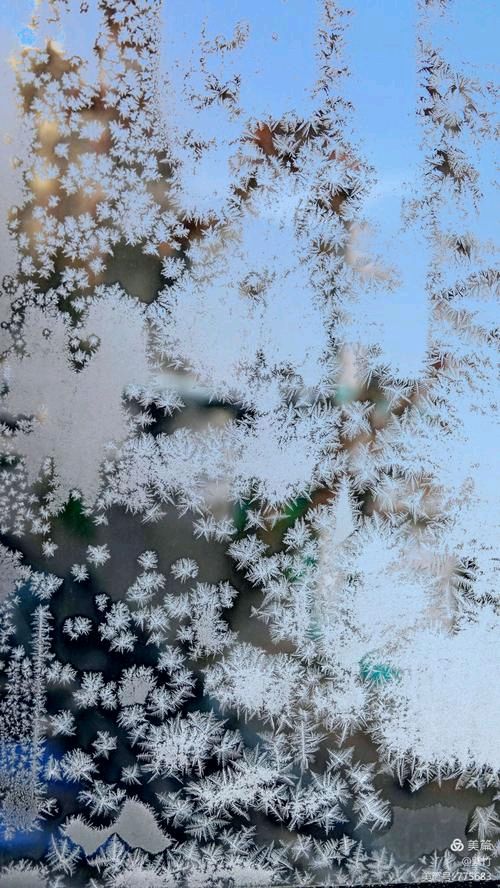 《霜花》作者:李夫晨【主播:流苏】【中国现代诗歌文化传媒】徜徉诗的海洋，聆听天籁之声♬（图4）