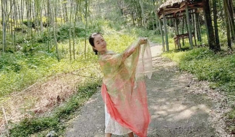 梦蝶山庄采风作品专辑（图14）