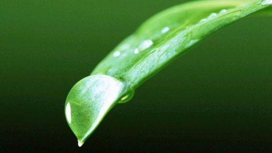 富民朗诵【雨滴声】作者/刘志民（图6）