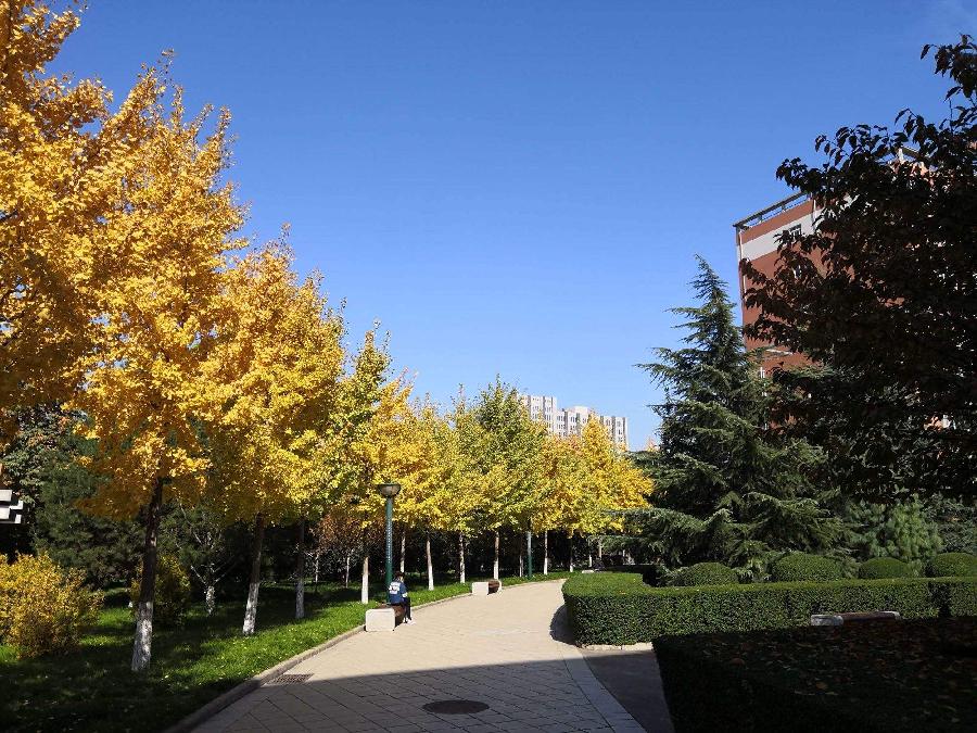 【神州源流诗苑】第1011期优秀近体诗《都市头条》周刊