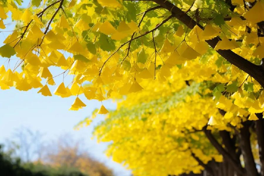 【神州源流诗苑】第1011期优秀近体诗《都市头条》周刊(图6)
